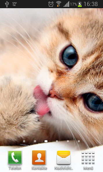 Run android online APK Kittens-Live Wallpaper from MyAndroid or emulate Kittens-Live Wallpaper using MyAndroid Run android online APK Kittens-Live Wallpaper from MyAndroid or emulate Kittens-Live Wallpaper using MyAndroid