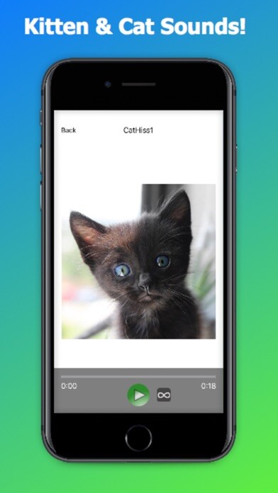 Emulate iPhone app Kitten Sounds Pro - Cat Sounds using MyAndroid Emulate iPhone app Kitten Sounds Pro - Cat Sounds using MyAndroid