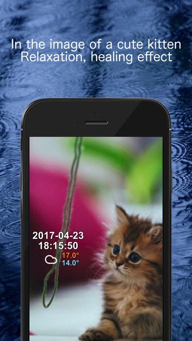 Run android online APK Kitten weather app from MyAndroid or emulate Kitten weather app using MyAndroid