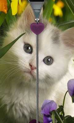 Emulate Android APK Kitten Zipper Screen Lock