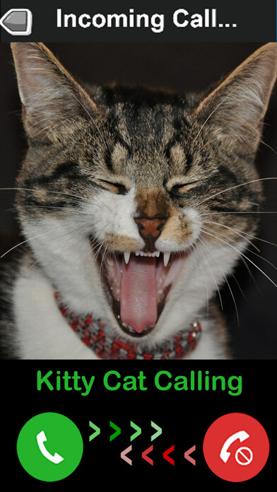 Emulate iPhone app Kitty Cat Fake Phone Call - Birthday Surprise using MyAndroid