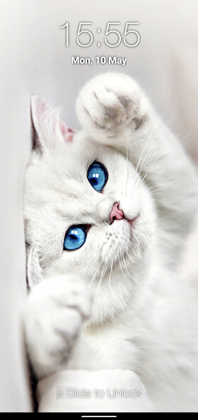Emulate Android APK Kitty Cat Pin Lock Screen