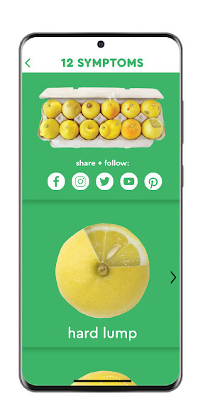 Run android online APK Know Your Lemons Breast Health App from MyAndroid or emulate Know Your Lemons Breast Health App using MyAndroid