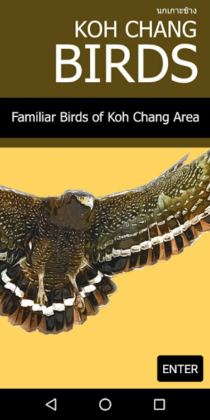 Run android online APK Koh Chang Birds from MyAndroid or emulate Koh Chang Birds using MyAndroid Run android online APK Koh Chang Birds from MyAndroid or emulate Koh Chang Birds using MyAndroid