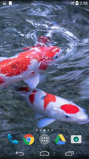 Emulate Android APK Koi 3D Live Wallpaper