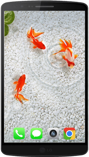 Run android online APK Koi Best HD Walpaper free from MyAndroid or emulate Koi Best HD Walpaper free using MyAndroid