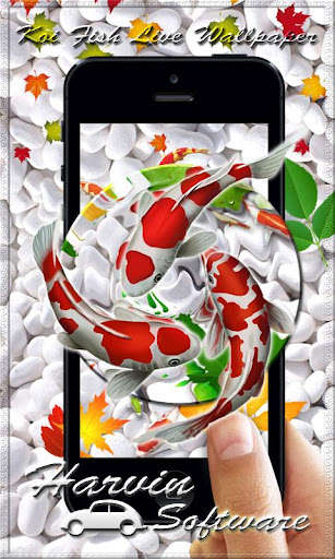 Run android online APK Koi Fish HD Live Wallpaper & 3D Ripple Touch from MyAndroid or emulate Koi Fish HD Live Wallpaper & 3D Ripple Touch using MyAndroid Run android online APK Koi Fish HD Live Wallpaper & 3D Ripple Touch from MyAndroid or emulate Koi Fish HD Live Wallpaper & 3D Ripple Touch using MyAndroid
