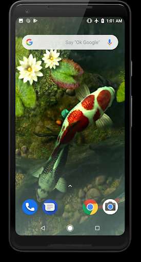 Run android online APK Koi Fish Video Live Wallpaper from MyAndroid or emulate Koi Fish Video Live Wallpaper using MyAndroid Run android online APK Koi Fish Video Live Wallpaper from MyAndroid or emulate Koi Fish Video Live Wallpaper using MyAndroid