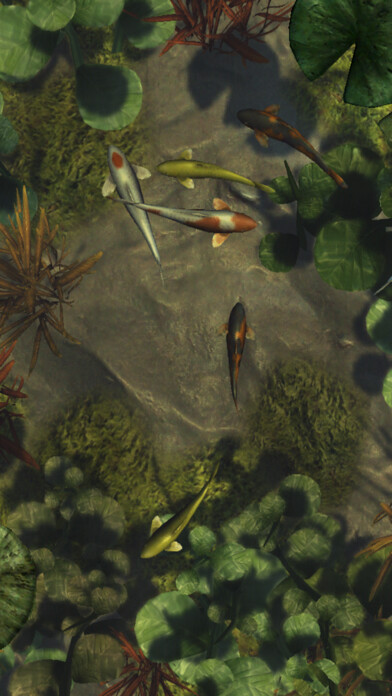 Emulate iPhone app Koi Pond Live HD using MyAndroid Emulate iPhone app Koi Pond Live HD using MyAndroid