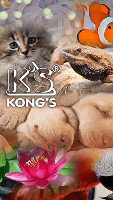 Emulate iPhone app Kongs using MyAndroid