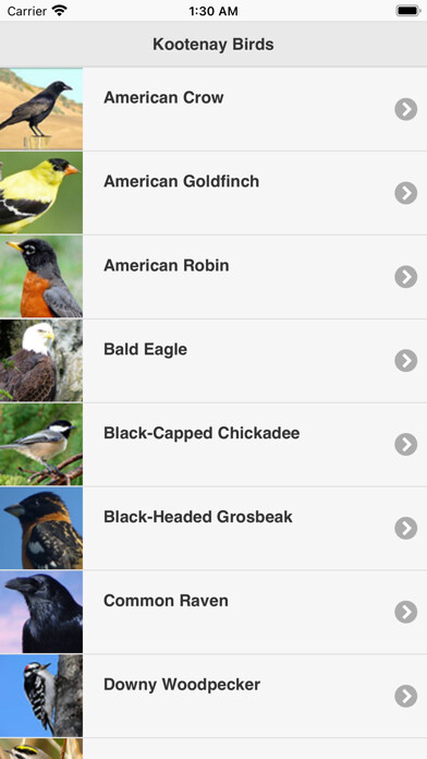 Emulate iPhone app Kootenay BIrd Sounds using MyAndroid Emulate iPhone app Kootenay BIrd Sounds using MyAndroid