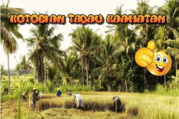 Emulate Android APK Kotobian Tadau Kaamatan Cards Emulate Android APK Kotobian Tadau Kaamatan Cards