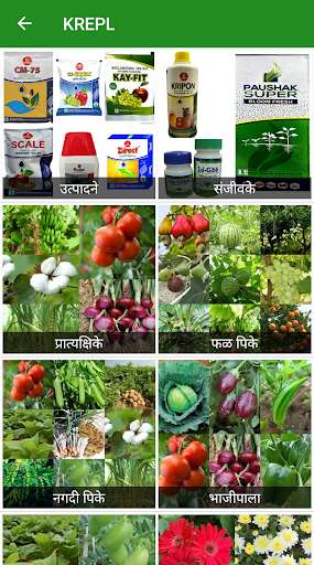 Run android online APK KREPL (Marathi) from MyAndroid or emulate KREPL (Marathi) using MyAndroid Run android online APK KREPL (Marathi) from MyAndroid or emulate KREPL (Marathi) using MyAndroid
