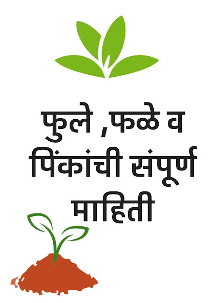 Run android online APK Krushi Farmer App- ???? from MyAndroid or emulate Krushi Farmer App- ???? using MyAndroid Run android online APK Krushi Farmer App- ???? from MyAndroid or emulate Krushi Farmer App- ???? using MyAndroid