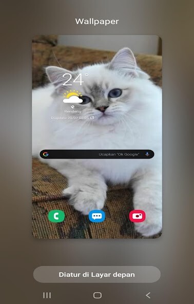 Run android online APK Kucing anggora wallpaper from MyAndroid or emulate Kucing anggora wallpaper using MyAndroid Run android online APK Kucing anggora wallpaper from MyAndroid or emulate Kucing anggora wallpaper using MyAndroid