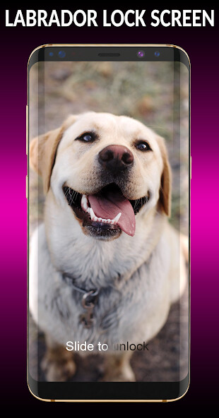 Run android online APK Labrador Lock Screen from MyAndroid or emulate Labrador Lock Screen using MyAndroid Run android online APK Labrador Lock Screen from MyAndroid or emulate Labrador Lock Screen using MyAndroid