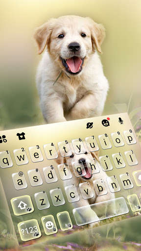 Run android online APK Labrador Puppy Keyboard Background from MyAndroid or emulate Labrador Puppy Keyboard Background using MyAndroid