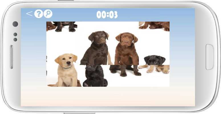 Emulate Android APK Labrador Retriever Dog Puzzle Emulate Android APK Labrador Retriever Dog Puzzle