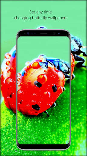 Run android online APK Lady Bugs Wallpaper from MyAndroid or emulate Lady Bugs Wallpaper using MyAndroid Run android online APK Lady Bugs Wallpaper from MyAndroid or emulate Lady Bugs Wallpaper using MyAndroid
