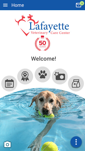 Emulate Android APK Lafayette Veterinary Care Emulate Android APK Lafayette Veterinary Care