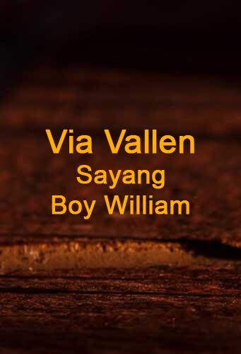 Run android online APK Lagu Sayang Via  Boy from MyAndroid or emulate Lagu Sayang Via  Boy using MyAndroid