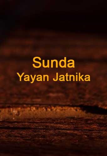 Run android online APK Lagu Sunda Yayan Jatnika Terlaris from MyAndroid or emulate Lagu Sunda Yayan Jatnika Terlaris using MyAndroid