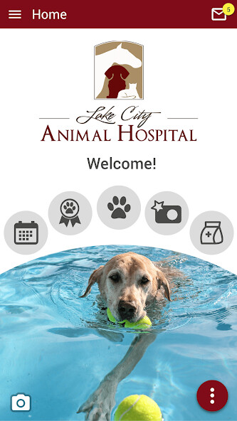 Run android online APK Lake City Animal Hospital FL from MyAndroid or emulate Lake City Animal Hospital FL using MyAndroid Run android online APK Lake City Animal Hospital FL from MyAndroid or emulate Lake City Animal Hospital FL using MyAndroid