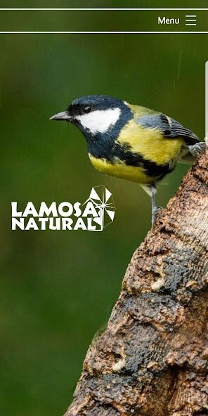 Run android online APK Lamosa Natural from MyAndroid or emulate Lamosa Natural using MyAndroid