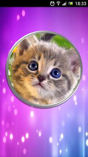 Run android online APK Lamp for children - cat from MyAndroid or emulate Lamp for children - cat using MyAndroid Run android online APK Lamp for children - cat from MyAndroid or emulate Lamp for children - cat using MyAndroid