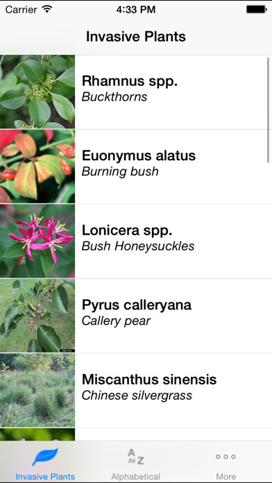 Emulate Android APK Landscape Alternatives Emulate Android APK Landscape Alternatives