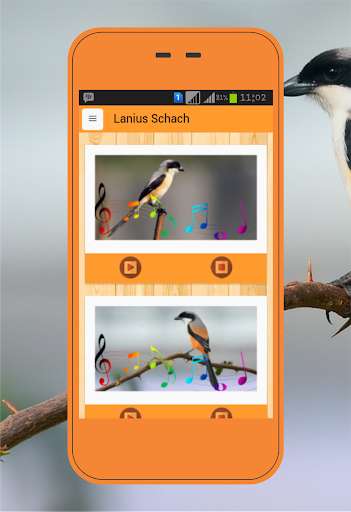 Run android online APK Lanius schach from MyAndroid or emulate Lanius schach using MyAndroid