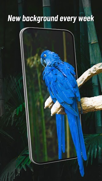 Run android online APK Latest 2021 dynamic HD wallpapers from MyAndroid or emulate Latest 2021 dynamic HD wallpapers using MyAndroid