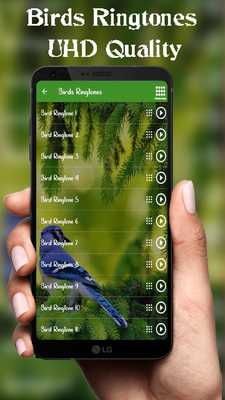 Emulate Android APK Latest Bird Ringtones 2018 - Best Collection