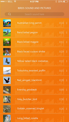 Run android online APK Latest Birds sound ringtone - Birds Tweet Rington from MyAndroid or emulate Latest Birds sound ringtone - Birds Tweet Rington using MyAndroid Run android online APK Latest Birds sound ringtone - Birds Tweet Rington from MyAndroid or emulate Latest Birds sound ringtone - Birds Tweet Rington using MyAndroid