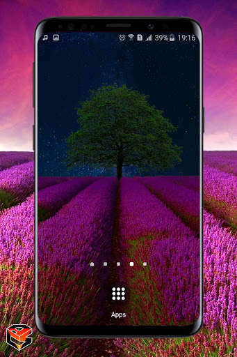 Run android online APK Lavander Field Live Wallpaper from MyAndroid or emulate Lavander Field Live Wallpaper using MyAndroid Run android online APK Lavander Field Live Wallpaper from MyAndroid or emulate Lavander Field Live Wallpaper using MyAndroid