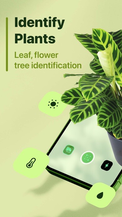 Emulate iPhone app Leaf Identification using MyAndroid