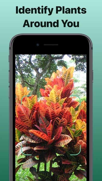 Emulate iPhone app Leaf ID: Plant Identification using MyAndroid Emulate iPhone app Leaf ID: Plant Identification using MyAndroid