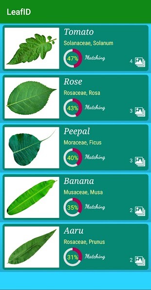 Run android online APK LeafID from MyAndroid or emulate LeafID using MyAndroid Run android online APK LeafID from MyAndroid or emulate LeafID using MyAndroid