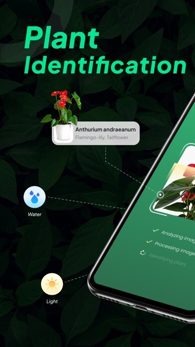 Emulate iPhone app LeafSnap-Plant Identification using MyAndroid Emulate iPhone app LeafSnap-Plant Identification using MyAndroid