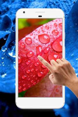 Emulate Android APK Leaf Water Ripple Live Wallpaper Emulate Android APK Leaf Water Ripple Live Wallpaper