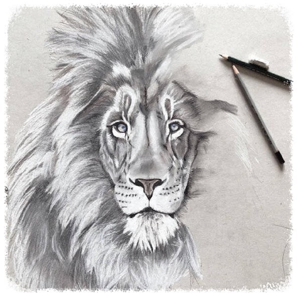 Run android online APK Learn 3D pencil drawing from MyAndroid or emulate Learn 3D pencil drawing using MyAndroid Run android online APK Learn 3D pencil drawing from MyAndroid or emulate Learn 3D pencil drawing using MyAndroid