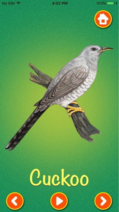 Emulate iPhone app Learn about Birds using MyAndroid Emulate iPhone app Learn about Birds using MyAndroid
