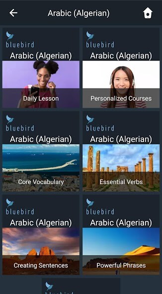 Run android online APK Learn Algerian Arabic. Speak Algerian Arabic. from MyAndroid or emulate Learn Algerian Arabic. Speak Algerian Arabic. using MyAndroid Run android online APK Learn Algerian Arabic. Speak Algerian Arabic. from MyAndroid or emulate Learn Algerian Arabic. Speak Algerian Arabic. using MyAndroid