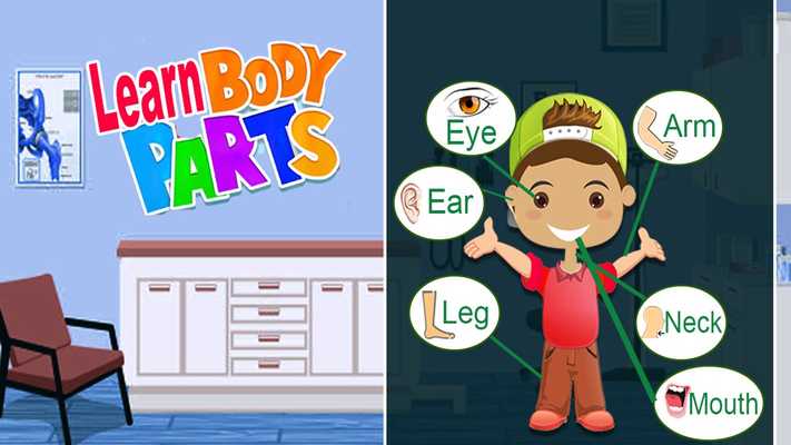 Emulate Android APK Learn Body Parts: Body Parts Photo  Pronunciation
