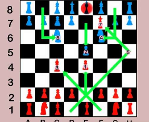 Run android online APK Learn chess, checkmate from MyAndroid or emulate Learn chess, checkmate using MyAndroid Run android online APK Learn chess, checkmate from MyAndroid or emulate Learn chess, checkmate using MyAndroid