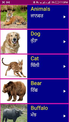 Emulate Android APK Learn English From Punjabi