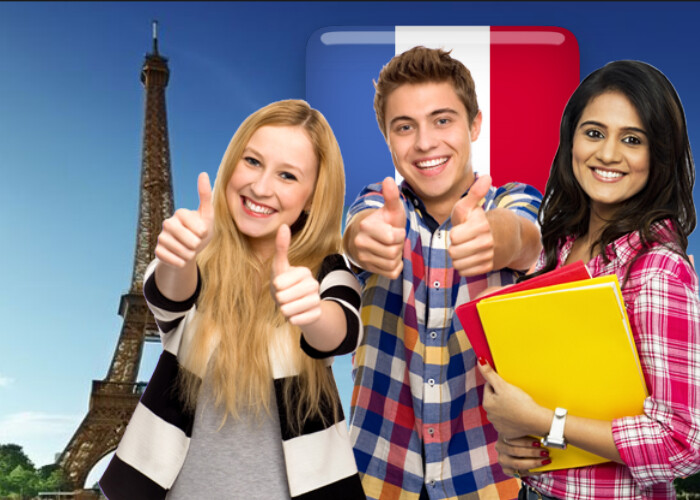 Run android online APK Learn French Offline from MyAndroid or emulate Learn French Offline using MyAndroid Run android online APK Learn French Offline from MyAndroid or emulate Learn French Offline using MyAndroid
