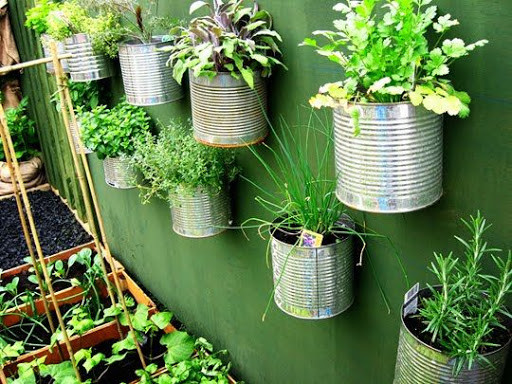 Run android online APK Learn Gardening from MyAndroid or emulate Learn Gardening using MyAndroid Run android online APK Learn Gardening from MyAndroid or emulate Learn Gardening using MyAndroid