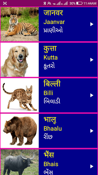 Run android online APK Learn Hindi From Gujarati from MyAndroid or emulate Learn Hindi From Gujarati using MyAndroid