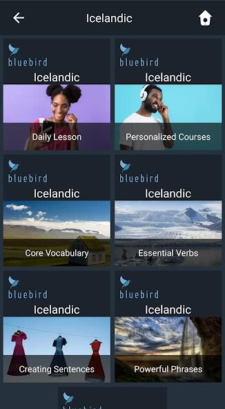 Run android online APK Learn Icelandic. Speak Icelandic. Study Icelandic. from MyAndroid or emulate Learn Icelandic. Speak Icelandic. Study Icelandic. using MyAndroid